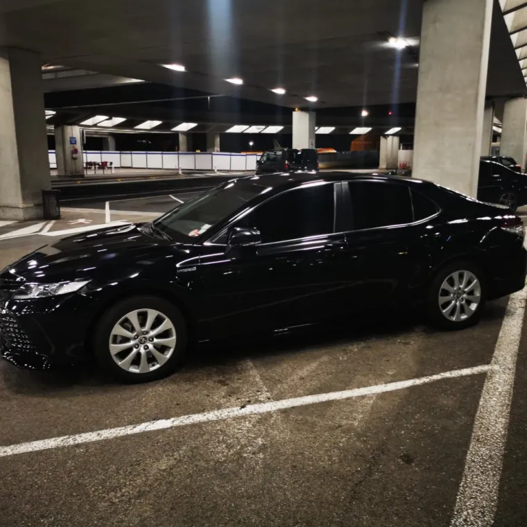 Transfert aéroport jusqu'aux Arène de Cimez à Nice, Nice, Ludovic Driver